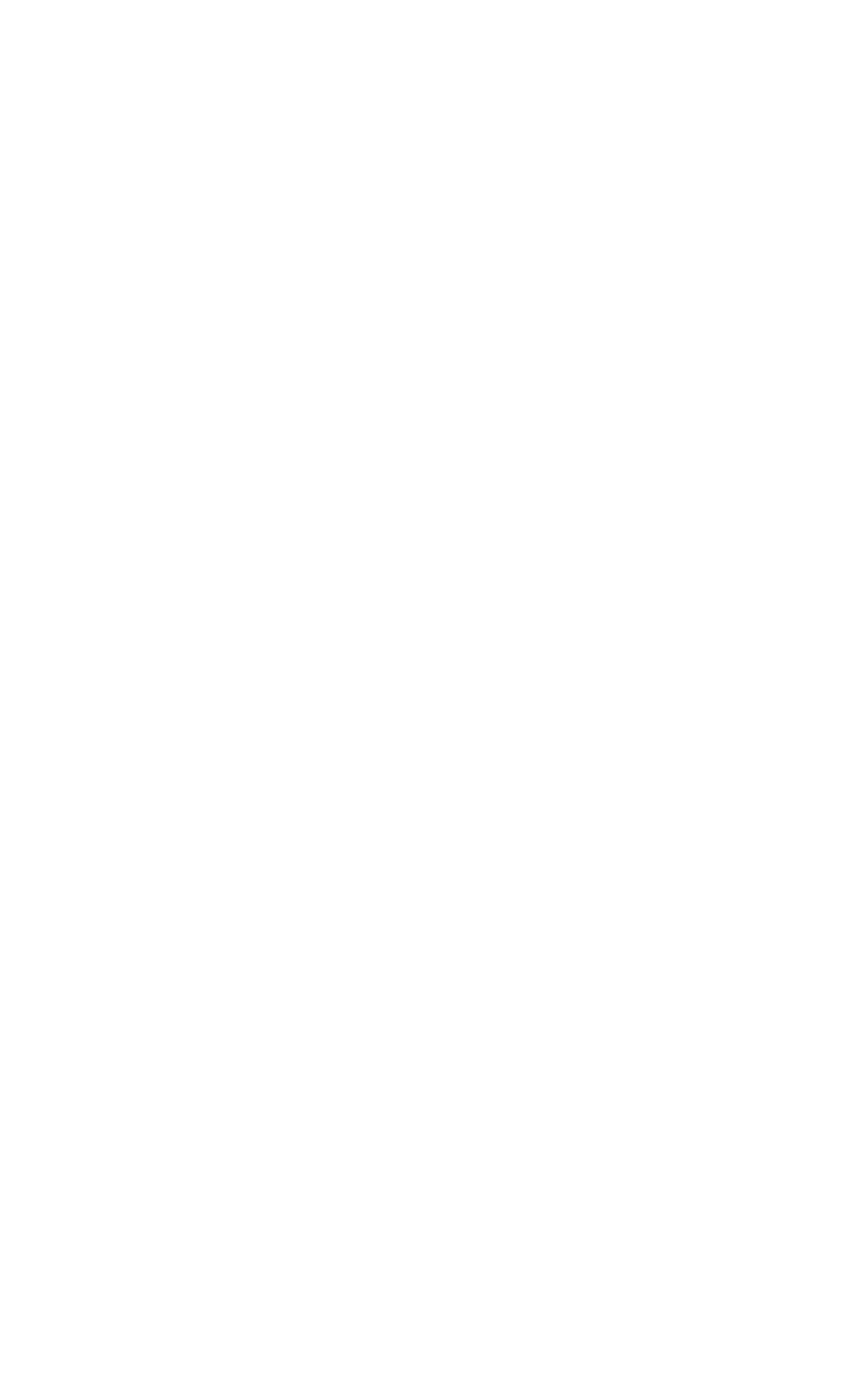 Dream Chasers logo